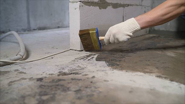 SJ Waterproofing Pros Waterproofing coverage map for Clifton Springs, NY and surrounding area